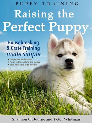 Puppy Training - ebook